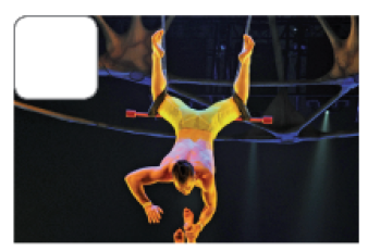 Imagem: Fotografia. Um trapezista em movimento.  Fim da imagem.