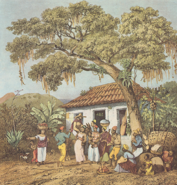 Imagem: Pintura. Em uma área aberta cercada por área verde há uma pequena casa à frente da qual está uma árvore e um grupo de pessoas negras, homens e mulheres adultos e crianças. Ao centro, duas pessoas dançam de pé movendo os quadris para frente. Ao redor, os demais observam, alguns estão sentados e outros de pé. Há um homem a cavalo e duas mulheres com cestos cheios sobre a cabeça. Do lado direito, está um grande cesto de palha. Fim da imagem.