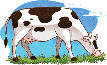 Imagem: Ilustração. Uma vaca branca com manchas em preto, pastando em local com vegetação rasteira verde. Ela tem focinho sobre o chão, no lado direito. Ao fundo, céu de cor azul-claro com nuvens brancas.  Fim da imagem.