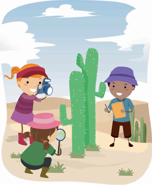 Imagem: Ilustração. Local com solo de cor bege-claro, com cactos de cor verde. Perto dos cactos, uma menina vista de costas, agachada, com pele clara, cabelos curtos castanhos em chuquinha, com camiseta em verde-claro, calça em verde-escuro e botas em marrom, com uma lupa arredondada na mão direita, com chapéu de cor rosa na cabeça. À esquerda, menina em pé, ruiva com cabelos presos, usando roupa roxa, bandana sobre a cabeça e botas rosas. Ela está com câmera fotográfica azul de frente para um cacto. Ao fundo, um menino de pele morena, com cabelos pretos, usando chapéu de cor azul-escuro sobre a cabeça, usando camiseta azul, com bermuda e sapatos marrons, segurando um caderno amarelo em uma mão e na outra mão, um lápis. Na parte superior, céu de cor azul-claro com nuvens brancas.  Fim da imagem.