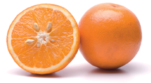 Imagem: Fotografia. À esquerda, laranja com sementes pequenas dentro. À direita, laranja redonda fechada.  Fim da imagem.
