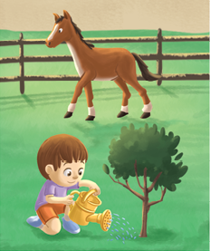 Imagem: Ilustração. História em quadrinhos compostas por cinco quadros em local aberto com grama e árvores de folhas verdes.  Q1 – Um menino sentado de pele clara, cabelos castanhos, de joelhos para o chão, com camiseta lilás, bermuda laranja, com um regador amarelo nas mãos regando uma pequena árvore com folhas verdes; Mais ao fundo, cavalo marrom pequeno e cercado em madeira.   Fim da imagem.
