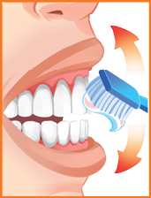 Imagem: Ilustração. Boca de pessoa aberta, para à direita, e de frente para ela, escova de cor azul com pasta de dente. Perto da escova, seta laranja para cima e para baixo.  Fim da imagem.