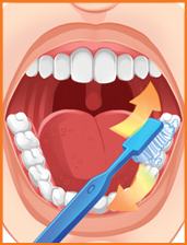 Imagem: Ilustração. Boca de pessoa vista frontal com escova azul escovando os dentes na parte inferior, à direita, com seta laranja para frente e outra para frente.  Fim da imagem.