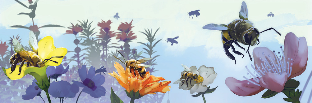 Imagem: Fotografia. Vista geral de local com plantas de pétalas de cores diferentes. À esquerda, uma planta com pétalas de cor amarela. Sobre ela, uma abelha com patas longas e par de antenas. Ao centro, planta de pétalas de cor laranja com uma abelha acima. À direita, ao fundo, flor de pétalas de cor branca com abelha dentro. À direita, flor com pétalas de cor rosa-claro, com abelha sobrevoando perto dela. Em segundo plano, outras plantas e à direita, sombra de outras abelhas sobrevoando no céu de cor azul-claro.  Fim da imagem.