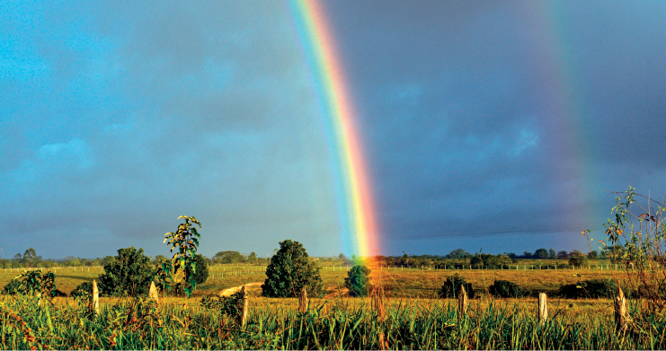 Imagem: Fotografia. Vista geral de local com vegetação de cor verde, com cercado com hastes de madeira na vertical. Mais ao fundo, árvores de folhas verdes e na parte superior, céu com muitas nuvens. À esquerda, com nuvens em azul-claro e à direita, nuvens em azul-escuro. Ao centro, na vertical, arco-íris em tons de vermelho, amarelo e azul-claro. Na parte escura, reflexo do arco-íris, na vertical.  Fim da imagem.