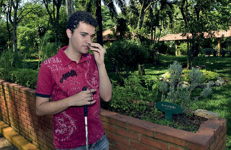 Imagem: Fotografia. À frente, um homem de pele clara, cabelos encaracolados pretos, usando camisa de gola de cor rosa, com estampas em branco e preto e calça jeans. Ele é visto da cintura para cima, usando uma bengala na vertical na mão esquerda e na mão direita, uma vegetação verde de frente para o nariz. À direita, um muro baixo marrom, com plantas verdes. Em segundo plano, vegetação rasteira, árvores e telhados marrons.  Fim da imagem.