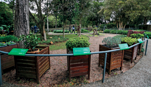 Imagem: Fotografia. Em um jardim, à frente, hastes de cor verde com placa da mesma cor, com texto branco, em corrimão arredondado de frente para mudas de plantas. Ao redor dela, forma quadrada de madeira perto de vaso de planta. Em segundo plano, o jardim com o caminho, árvores com folhas verdes.  Fim da imagem.