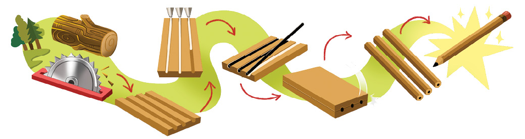 Imagem: Ilustração. Esquema. Fabricação de lápis. Da esquerda para à direita : um local com vegetação de cor verde-claro, com três árvores, duas com folhas em verde-escuro. Um pouco mais para frente, serrote de cor cinza com pontas pequenas, com pedaço de tronco em marrom na horizontal. Texto : A madeira é serrada e lixada em placas com canaletas. Segue para toras de madeiras na horizontal com fendas. Nas fendas das madeiras, cola branca.  Texto : As canaletas são preenchidas com cola e grafite. Nas partes das colas brancas, grafite preto na vertical. Encaixa outra placa de madeira, por onde vê-se três pequenos círculos.  Texto : Outra placa de madeira é encaixada na inicial. Na ponta da direita, três lápis finos na horizontal de cor bege Texto : As placas são cortadas e formam os lápis.  Na ponta final, lápis apontado com ponta inferior com grafite preto e borracha vermelha na outra ponta.  Texto : Os lápis são polidos e recebem acabamento.  Fim da imagem.