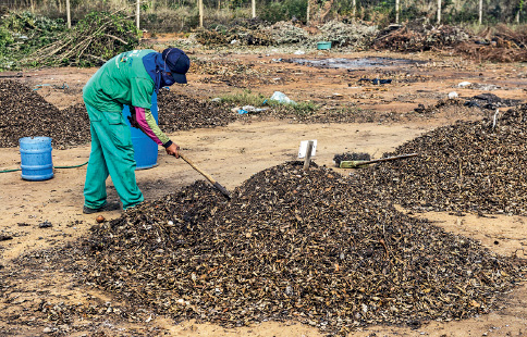 Imagem: Fotografia. Um homem trabalhando à esquerda, segura nas mãos uma haste, de frente um monte de cor marrom-escuro. O homem está vestido com camiseta e calça de cor verde, com pano azul no pescoço e boné em azul-escuro. Mais ao fundo, terreno aberto com montes de terra.  Fim da imagem.