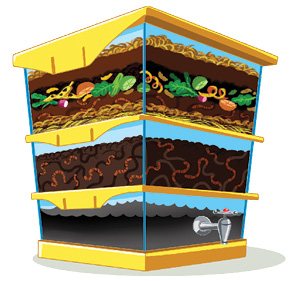 Imagem: Ilustração. Estrutura na vertical com três divisões amarelas com estágios diferentes. De cima para baixo, solo marrom com vegetação de folhas verdes, restos de vegetais e alimentos. Abaixo, parte com solo em marrom-escuro e minhocas dentro e na última parte, vazia, com uma torneira cinza na frente.  Fim da imagem.