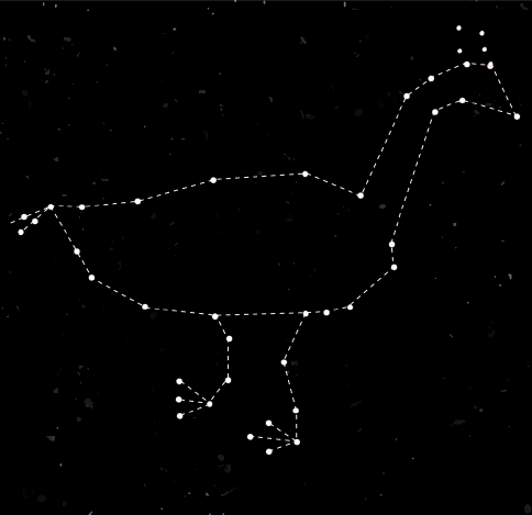 Imagem: Ilustração. Fundo de cor preta, com constelação com formato de uma ema, contornada por linha pontilhada e no corpo, esferas pequenas brancas.  Fim da imagem.