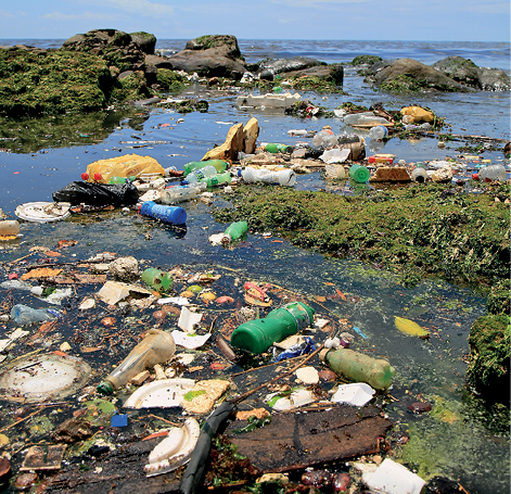 Imagem: Fotografia. Vista geral de praia com água escura, com centenas de dejetos. À esquerda e à direita, local com pedras e vegetação verde sobre elas. Na parte superior, céu azul-claro.  Fim da imagem.