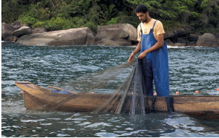 Imagem: Fotografia. Um homem sobre uma canoa de cor marrom, segurando nas mãos uma rede de cor marrom-escuro sobre o mar de cor escura. Ele tem pele morena, cabelos pretos, camiseta amarela com macacão em azul. Em segundo plano, rochas de cor cinza, com vegetação de cor verde.  Fim da imagem.