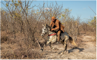 Imagem: Fotografia. Um homem sobre cavalo branco, cavalgando para a esquerda. Ele usa chapéu, roupa de mangas compridas, calça em marrom. Em segundo plano, árvores de galhos secos, a maioria sem folhas. No alto, céu azul-claro com poucas nuvens brancas à esquerda.  Fim da imagem.