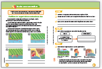 Imagem: Ilustração. Exemplifica como será a seção Para ler e escrever melhor. Página dupla composta por textos e imagens. Fim da imagem.