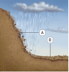Imagem: Ilustração. Solo de cor marrom, com a parte esquerda mais alta e a parte da direita inferior. Na parte mais alta: ponto A, cai chuva forte de nuvens em cinza-claro carregada. O céu é de cor azul. Abaixo, no ponto B, vegetação rasteira mais densa. Fim da imagem.