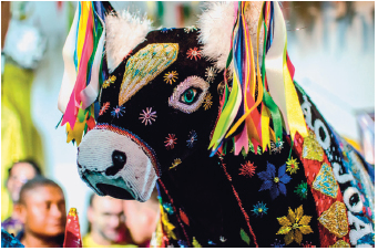 Imagem: Ilustração. Alegoria da cabeça de um boi com fitas nos chifres e flores coloridas pelo corpo e focinho.  Fim da imagem.