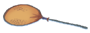 Imagem: Ilustração. Uma raquete feita com aranha e meia-calça.  Fim da imagem.