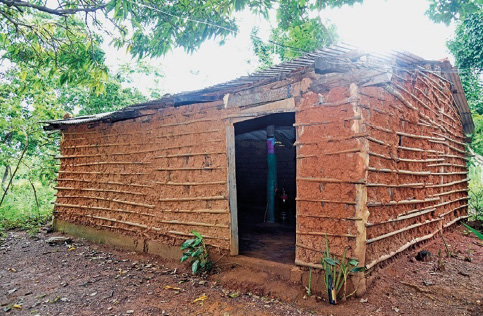 Imagem: Fotografia. Uma casa com paredes compostas por madeiras e taipa marrom. Em volta há várias árvores. Fim da imagem.