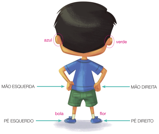 Imagem: Ilustração. Lucas de costas e com as mãos na cintura. Destaque para a mão esquerda, mão direita, pé esquerdo e pé direito. Há um círculo em volta da orelha esquerda (azul) e outro círculo em volta da orelha direita (verde). Ao lado do pé esquerdo, a palavra bola e ao lado do pé direito, a palavra flor.   Fim da imagem.