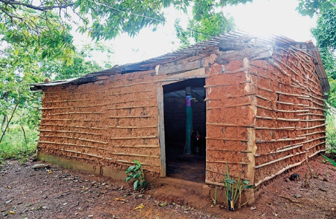 Imagem: Fotografia. Uma casa com paredes compostas por madeiras e taipa marrom. Em volta há várias árvores. Fim da imagem.