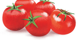 Imagem: Ilustração. Cinco tomates vermelhos.  Fim da imagem.