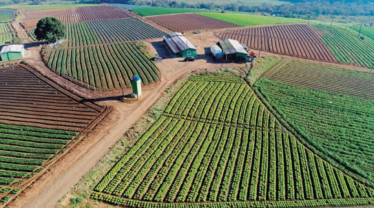 Imagem: Fotografia. Vista aérea de galpões no meio de plantações e estradas de terra. À esquerda há uma casa e uma árvore. E no centro há uma caixa d’água.  Fim da imagem.