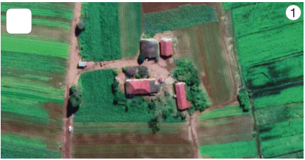 Imagem: Fotografia 1. Vista de cima de quatro construções no meio de uma plantação.  Fim da imagem.