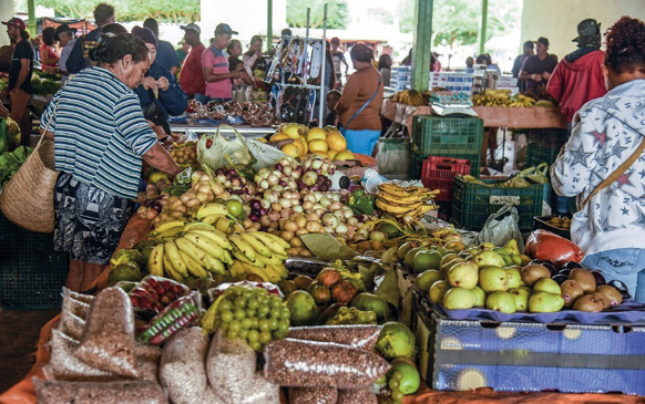 Imagem: Fotografia. Pessoas em volta de uma mesa com várias frutas em cima. Fim da imagem.