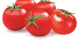 Imagem: Ilustração. Cinco tomates vermelhos.  Fim da imagem.