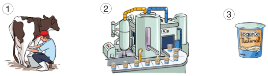 Imagem: Ilustração 1. Um homem está sentando e ordenhando uma vaca.  Ilustração 2. Uma máquina grande está jorrando líquido dentro de potes, que estão enfileirados em uma esteira.  Ilustração 3. Um pote redondo e tampado com a informação: IOGURTE NATURAL.   Fim da imagem.