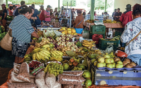 Imagem: Fotografia. Pessoas em volta de uma mesa com várias frutas em cima. Fim da imagem.