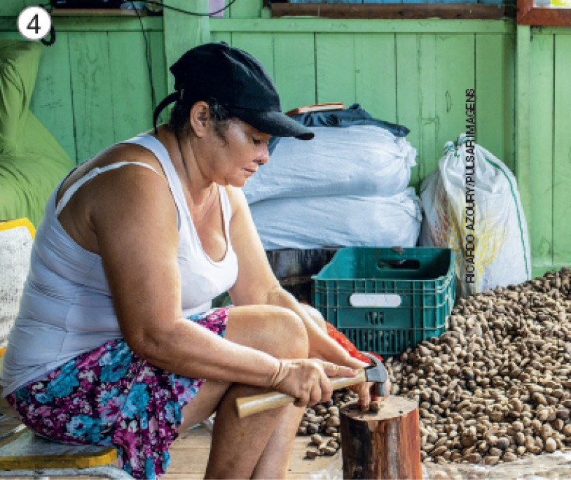 Imagem: Fotografia 4. Uma mulher com boné, regata e saia está sentada e segurando um martelo sobre um pedaço de madeira. Em volta dela há várias sementes sobre uma lona. Ao lado há uma caixa e sacas grandes.  Fim da imagem.