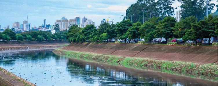 Imagem: Fotografia. Rio com lixo boiando. Nas laterais há árvores e ao fundo, prédios. Fim da imagem.