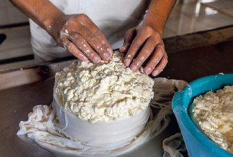 Imagem: Fotografia. Destaque de mãos sobre um pote com massa branca. Fim da imagem.