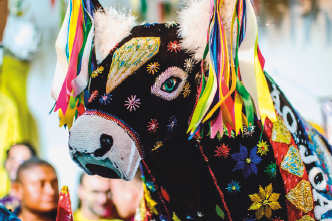 Imagem: Fotografia. Destaque para o rosto de um boi preto, com desenhos coloridos na pele e fitas nas orelhas.  Fim da imagem.