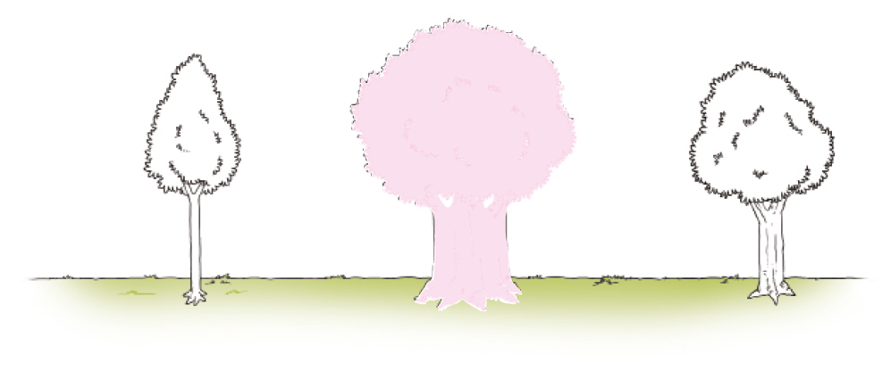 Imagem: Ilustração em preto e branco. À esquerda, uma árvore com tronco muito fino com um X ao lado. No centro, uma árvore com tronco grosso pintada de rosa. À direita, uma árvore com tronco médio. Fim da imagem.