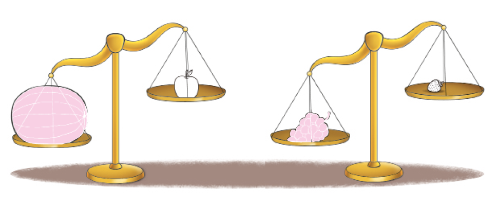 Imagem:  Ilustração. Uma balança dourada de pratos, inclinada para a esquerda. No prato à esquerda, uma melancia e no prato à direita, uma maçã. Ao lado, balança dourada de pratos, inclinada para a esquerda. No prato à esquerda, um cacho de uvas e no prato à direita, um morango.  Fim da imagem.