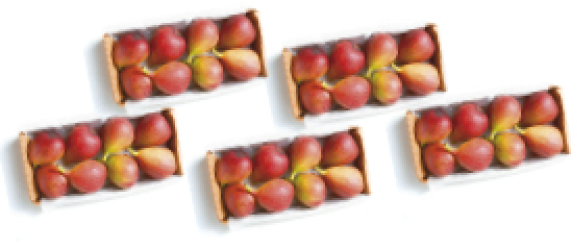 Imagem: Fotografia. Cinco caixas com oito figos cada. Fim da imagem.