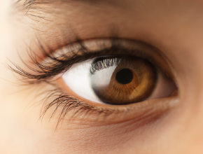 Imagem: Fotografia. Destaque para um olho. Fim da imagem.