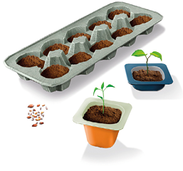 Imagem: Ilustração. Uma caixa de suporte para ovos com 12 lugares e potinhos de iogurte. Eles estão com terra e plantinhas. Fim da imagem.