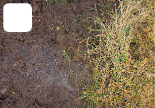 Imagem: Fotografia 2. Barro e capim seco. Fim da Imagem.