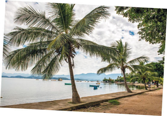 Imagem: Em seguida, fotografia da beira do mar com calçada de areia e bordas de cimento com coqueiros. Fim da imagem.