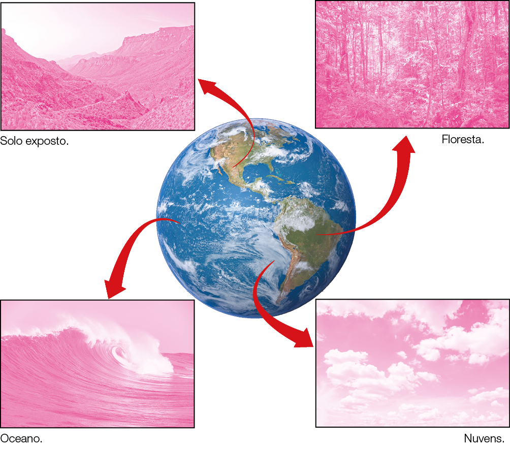 Imagem: Fotografia. Planeta terra visto de fora com setas indicando quatro fotografias. Fotografia de montanhas com solo seco. Solo exposto. Fotografia do interior de uma floresta com vegetação densa. Floresta. Fotografia de uma onda no meio do oceano. Oceano. Fotografia. Vista do céu com poucas nuvens. Nuvens. Fim da imagem.