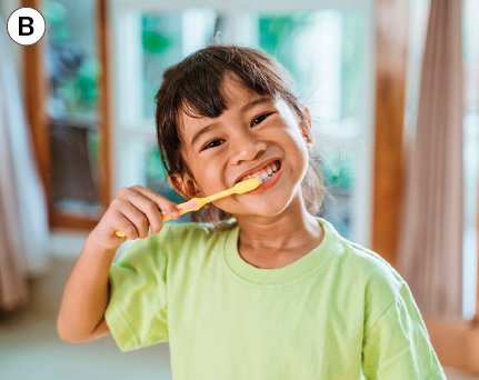 Imagem: Fotografia. B: Destaque de menina de cabelo longo castanho, vestindo camiseta verde, escovando os dentes.  Fim da imagem.