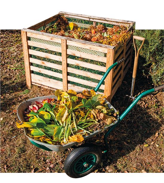 Imagem: Fotografia. Carriola com restos de folhas e pedaços de vegetais. Ao lado, uma caixa de madeira e tela com restos vegetais diversos. Fim da imagem.