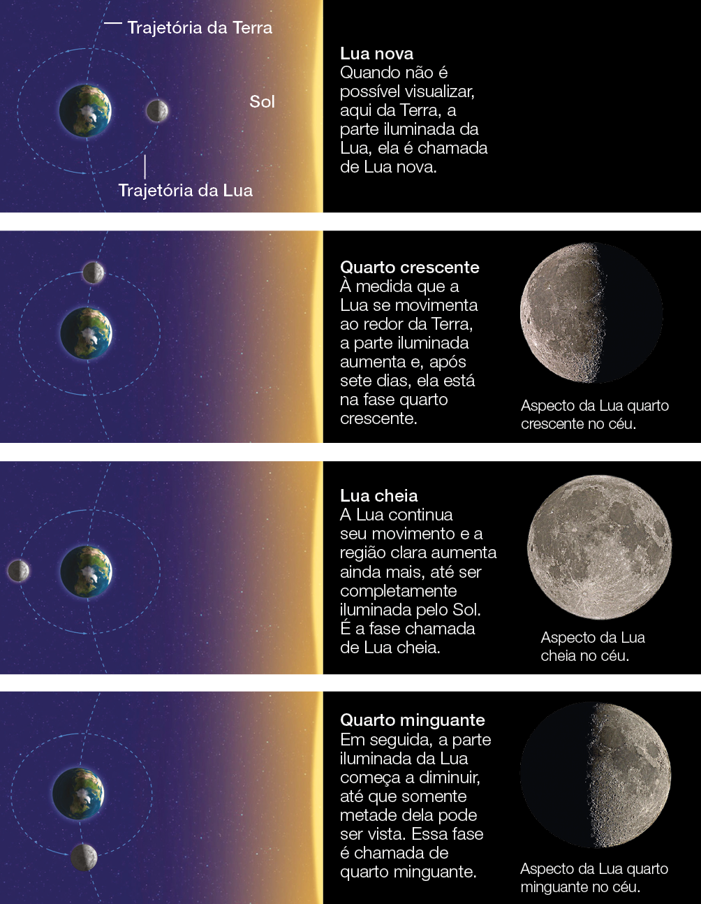 Imagem: Ilustração. Representação das posições do sol, terra e lua na fase nova. Terra no centro, sol à direita e lua entre eles. Lua nova: Quando não é possível visualizar, aqui da Terra, a parte iluminada da Lua, ela é chamada de Lua nova. Ilustração. Representação das posições do sol, terra e lua na fase quarto crescente. Terra no centro, sol à direita e lua na parte superior da terra. Quarto crescente: À medida que a Lua se movimenta ao redor da Terra, a parte iluminada aumenta e, após sete dias, ela está na fase quarto crescente. Ilustração. Representação das posições do sol, terra e lua na fase quarto crescente. Terra no centro, sol à direita e lua à esquerda da terra. Lua cheia: A Lua continua seu movimento e a região clara aumenta ainda mais, até ser completamente iluminada pelo Sol. É a fase chamada de Lua cheia Ilustração. Representação das posições do sol, terra e lua na fase quarto crescente. Terra no centro, sol à direita e lua na parte inferior da terra. Quarto minguante: Em seguida, a parte iluminada da Lua começa a diminuir, até que somente metade dela pode ser vista. Essa fase é chamada de quarto minguante.  Fim da imagem.