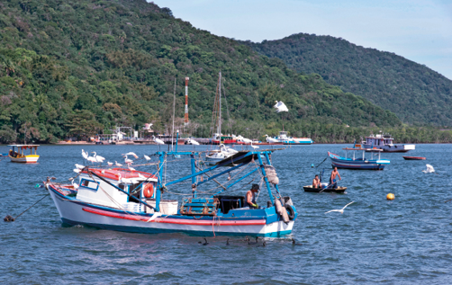 Imagem: Fotografia. Vários barcos no mar. Ao fundo, um morro e árvores.  Fim da imagem.