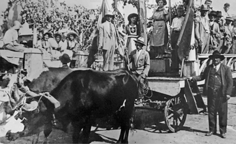 Imagem: Fotografia em preto e branco. Dois bois estão puxando uma carroça com várias pessoas em cima. As mulheres estão com vestidos e os homens com chapéu e terno. Ao fundo, árvores. Fim da imagem.
